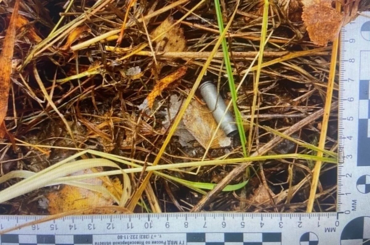    Браконьеров задержали за незаконный отстрел двух косуль под Новосибирском