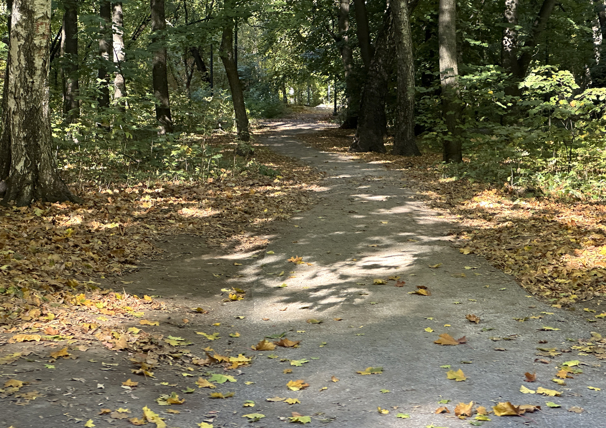 Фото © «Московская газета»