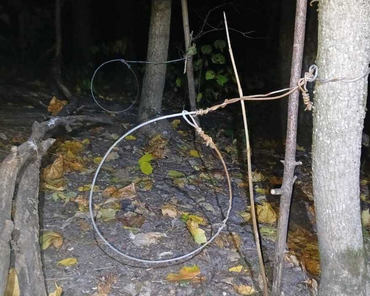     В Курском районе изъяли запрещенные петли в местах обитания барсуков