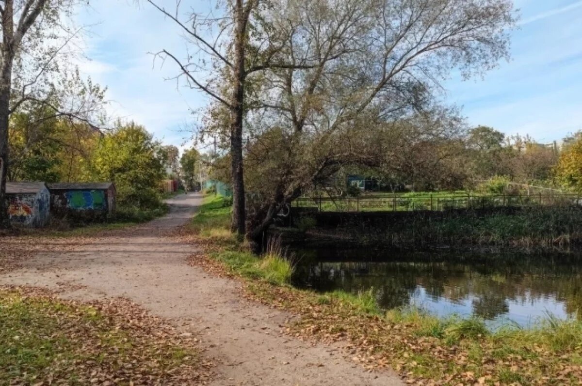    Во Владимире в Добром начнут чистить пруд уже этой осенью
