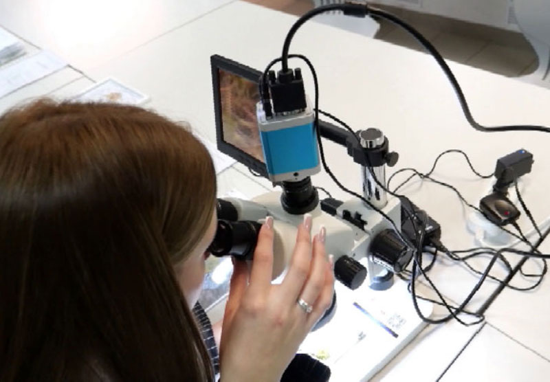     Фото: ТК «Тагил-ТВ»