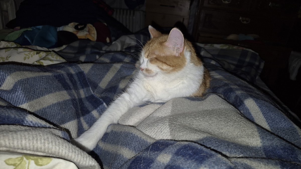 Тоже вчера. Легли спать