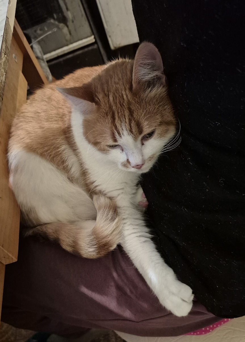 Это вчера. Обнимашки