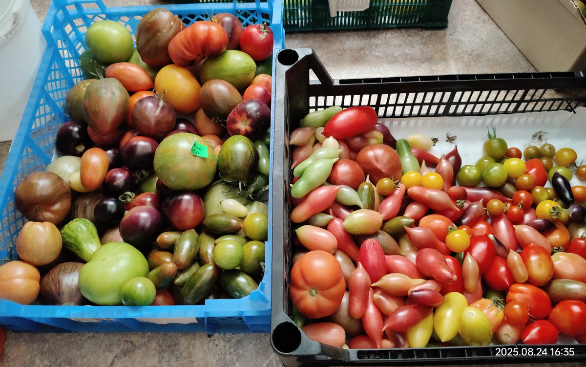 Часть урожая.