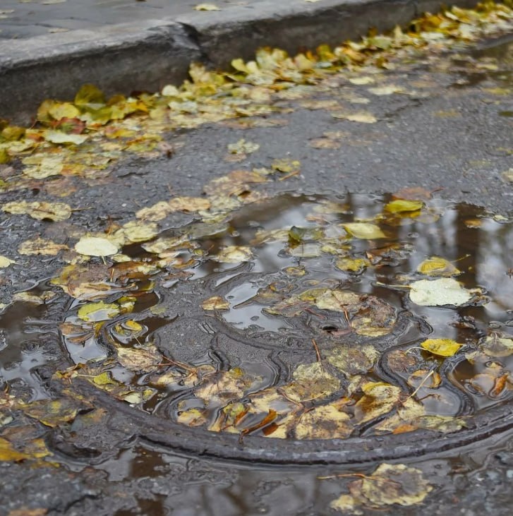 Осень в Вологде