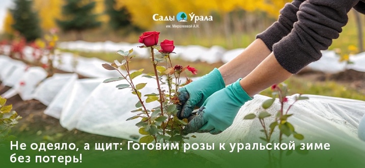 Создать карусель