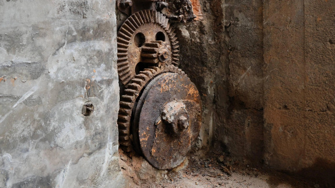 Фото: Марина Мамонтова/ «Фонтанка.ру»