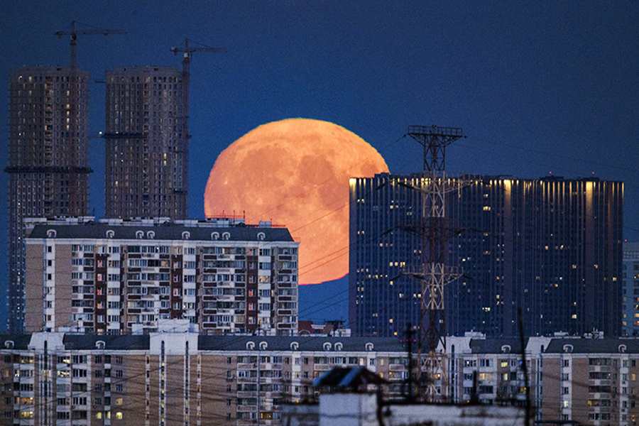    © Максим Блинов/РИА Новости