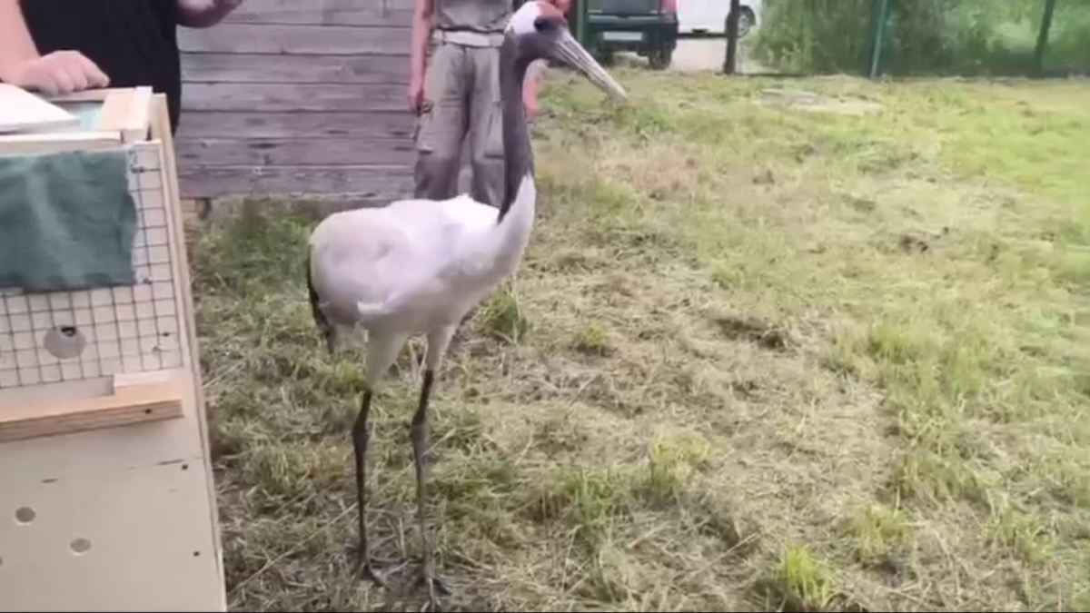    Фото: Telegram / Московский зоопарк