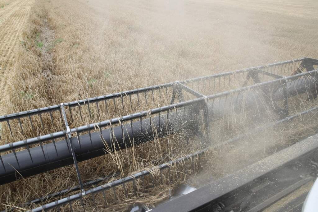    Фото: Правительство Ростовской области Веселовские вести