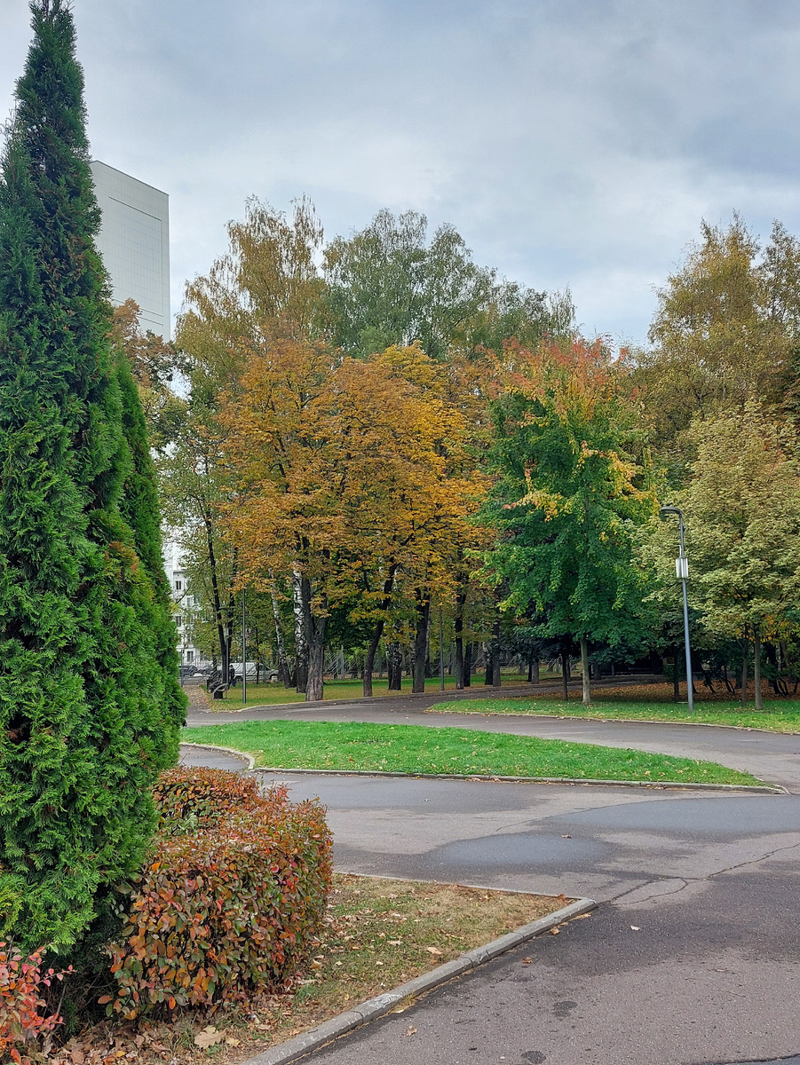 Фото автора