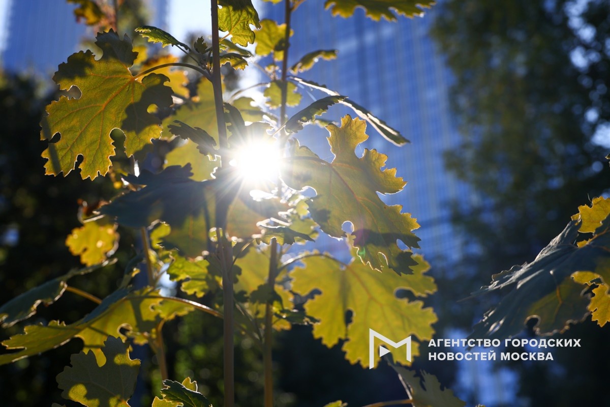 Фотограф: Ярослав Чингаев
