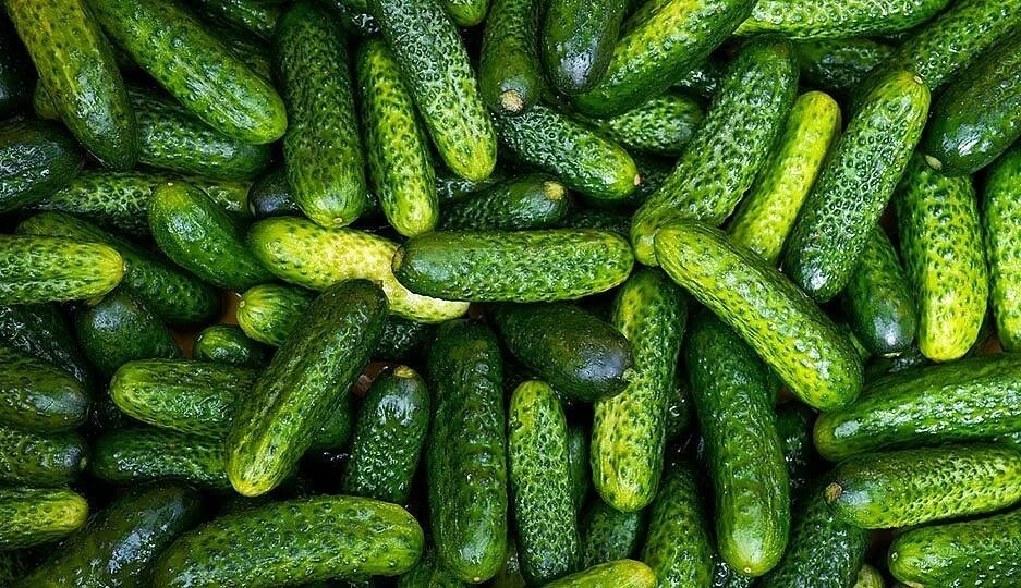 Рыночная цена на огуры 