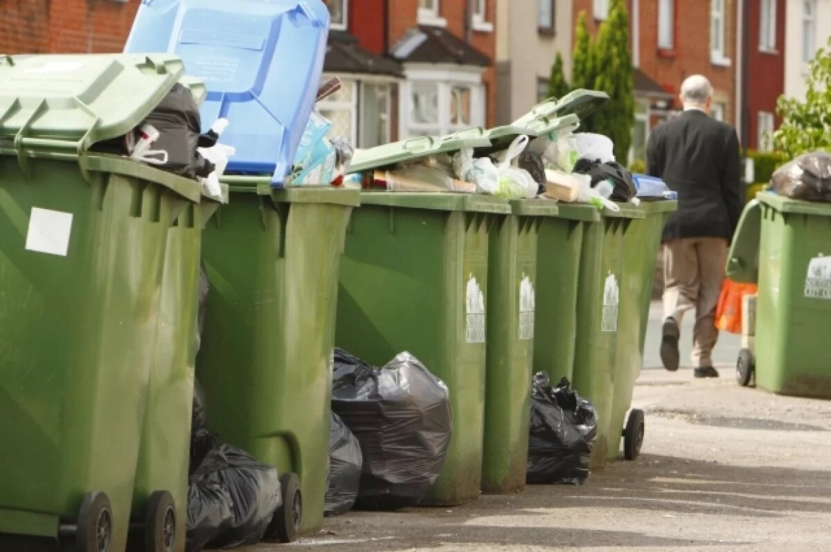    Жители Апатитов жалуются на переполненные мусорные контейнеры