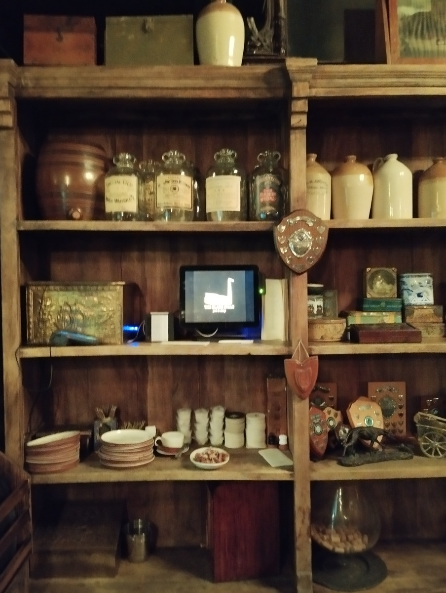 В гостях у Чёрного Лебедя.