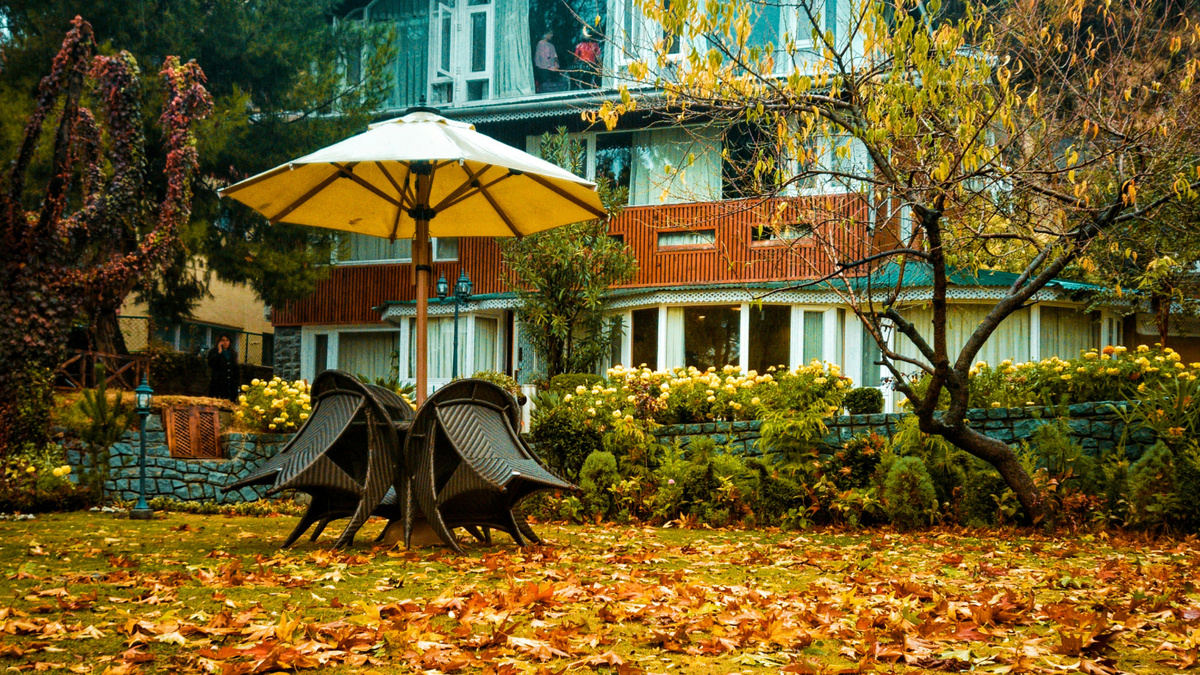 Готовим сад к зиме: осенние удобрения и защита от вредителей