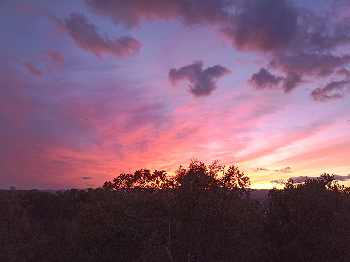 Вид с моего балкона