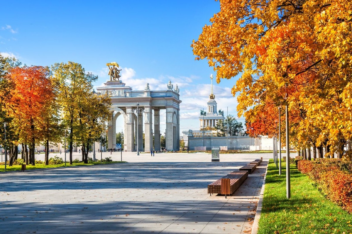    Фото: iStock/yulenochekk