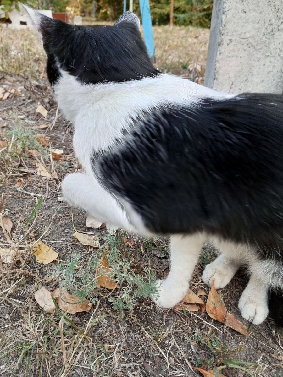  Где там наш камин?