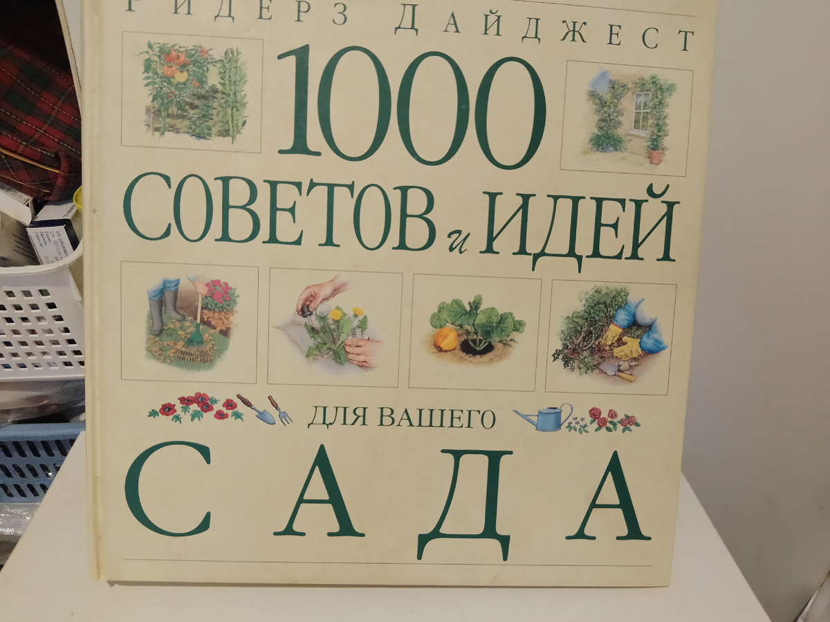 Фото автора, моя любимая книга