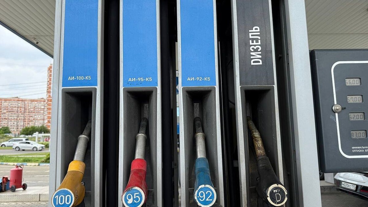    Фото: телеканал «Краснодар»