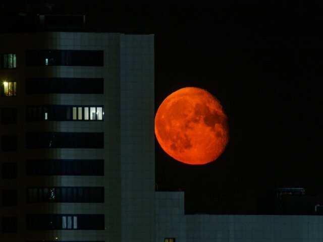    Фото: Москва 24/Лидия Широнина