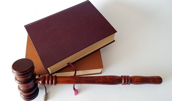    Фото: pxhere.com Анастасия Морозова