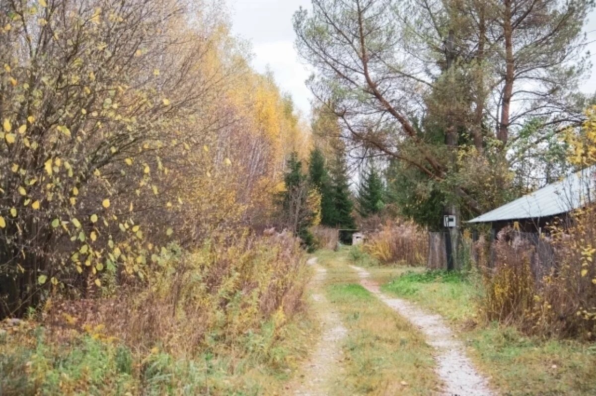    В Туле 7 октября ожидается облачная погода, туман и небольшой дождь