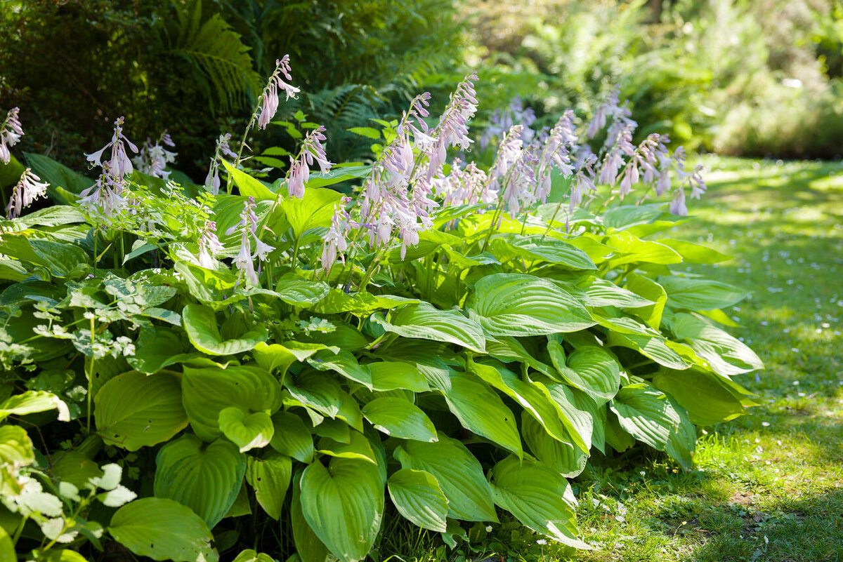     123RF/legion-media.ru