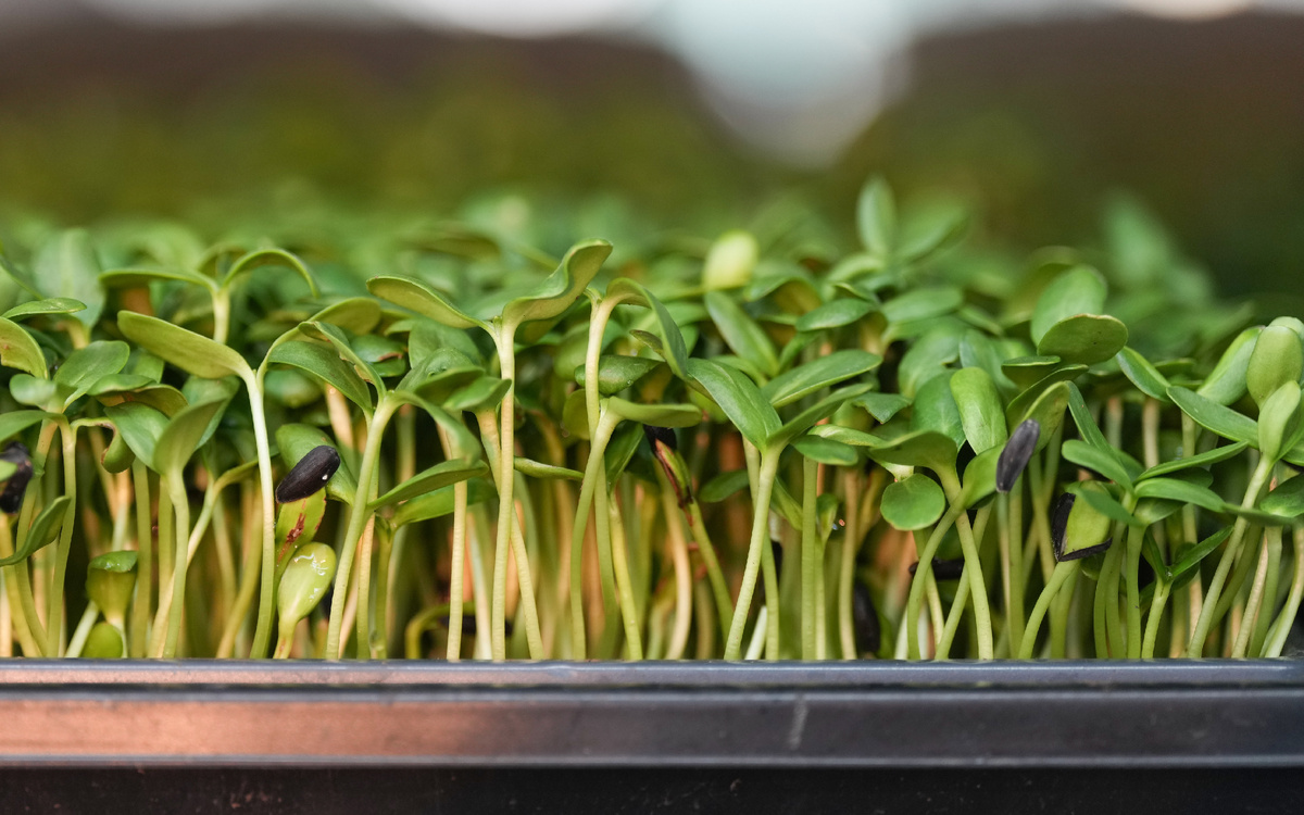 Фото: © Christinne Muschi/ Keystone Press Agency/ Global Look Press