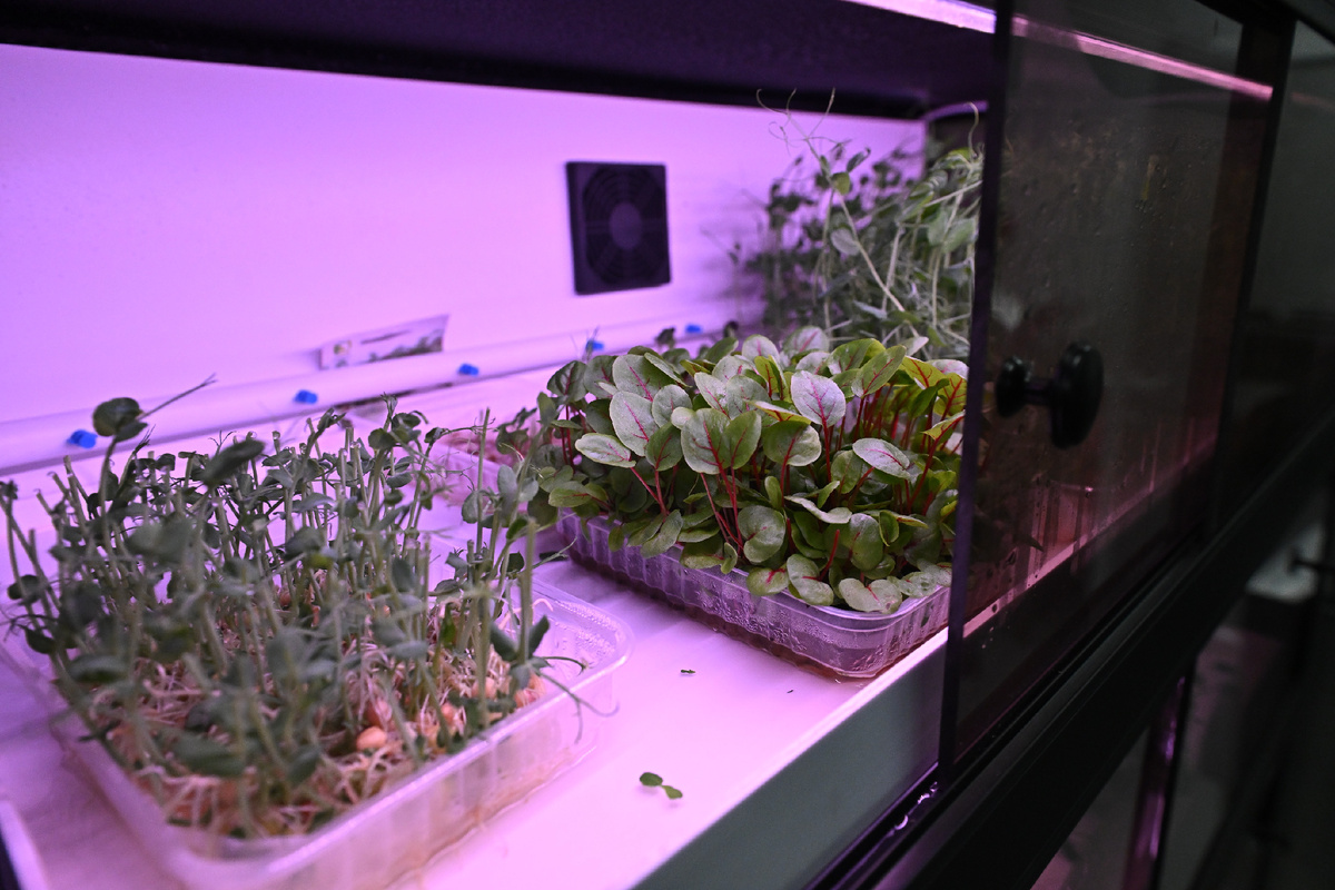 Фото: © Komsomolskaya Pravda/ Global Look Press