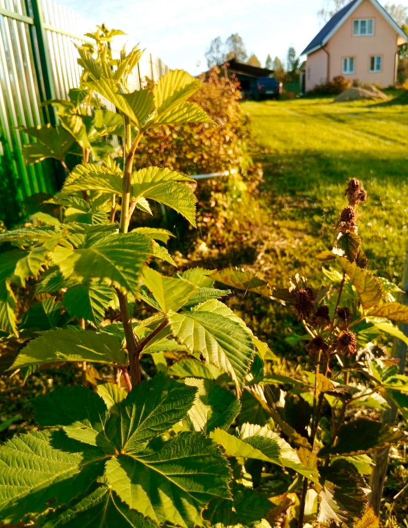 Фото из архива автора 2025 год