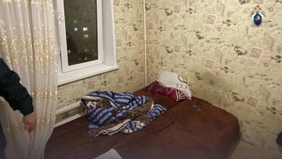     Источник: Челябинский Следком