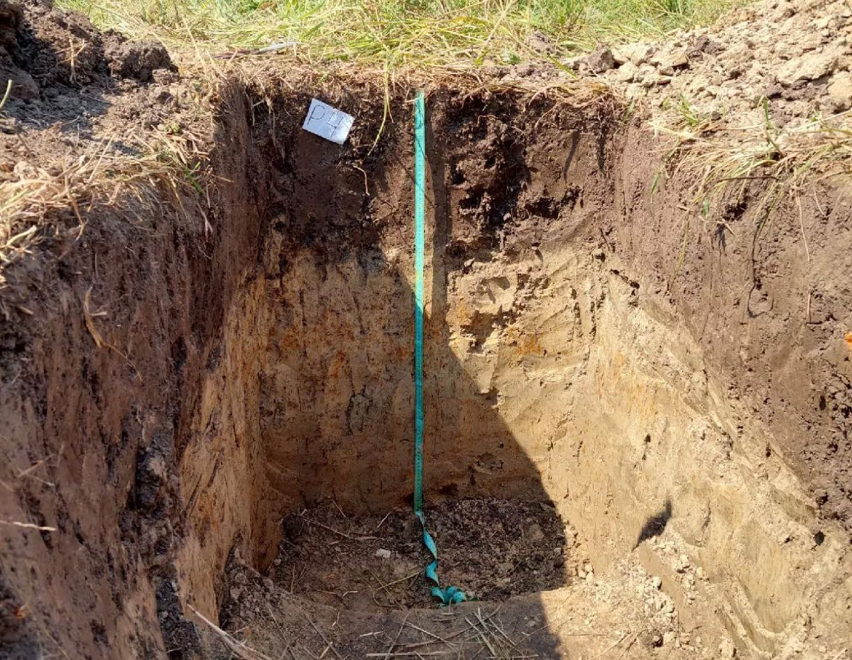 Почвенный разрез