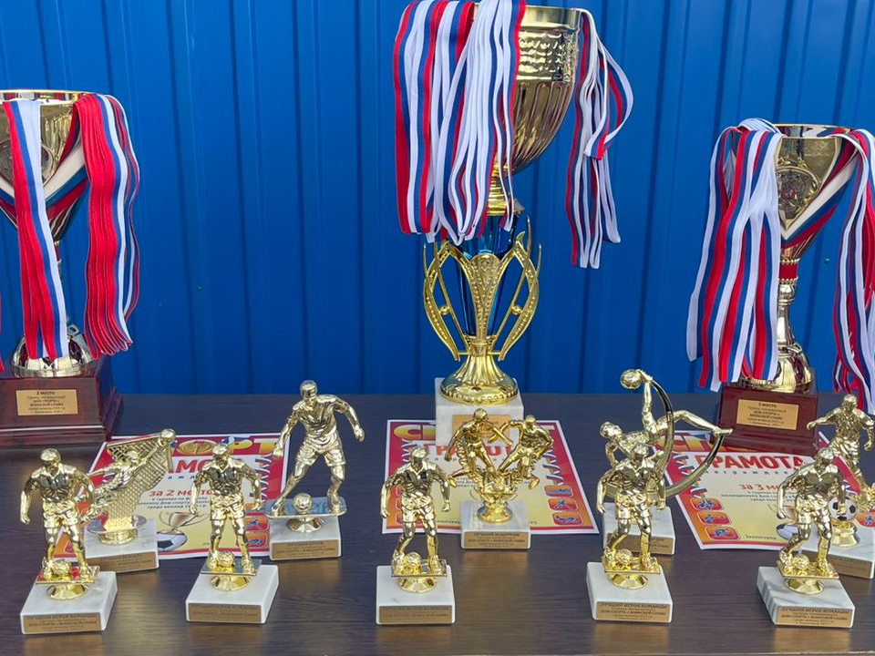    Фото: МедиаБанк Подмосковья/Хавива Фонина