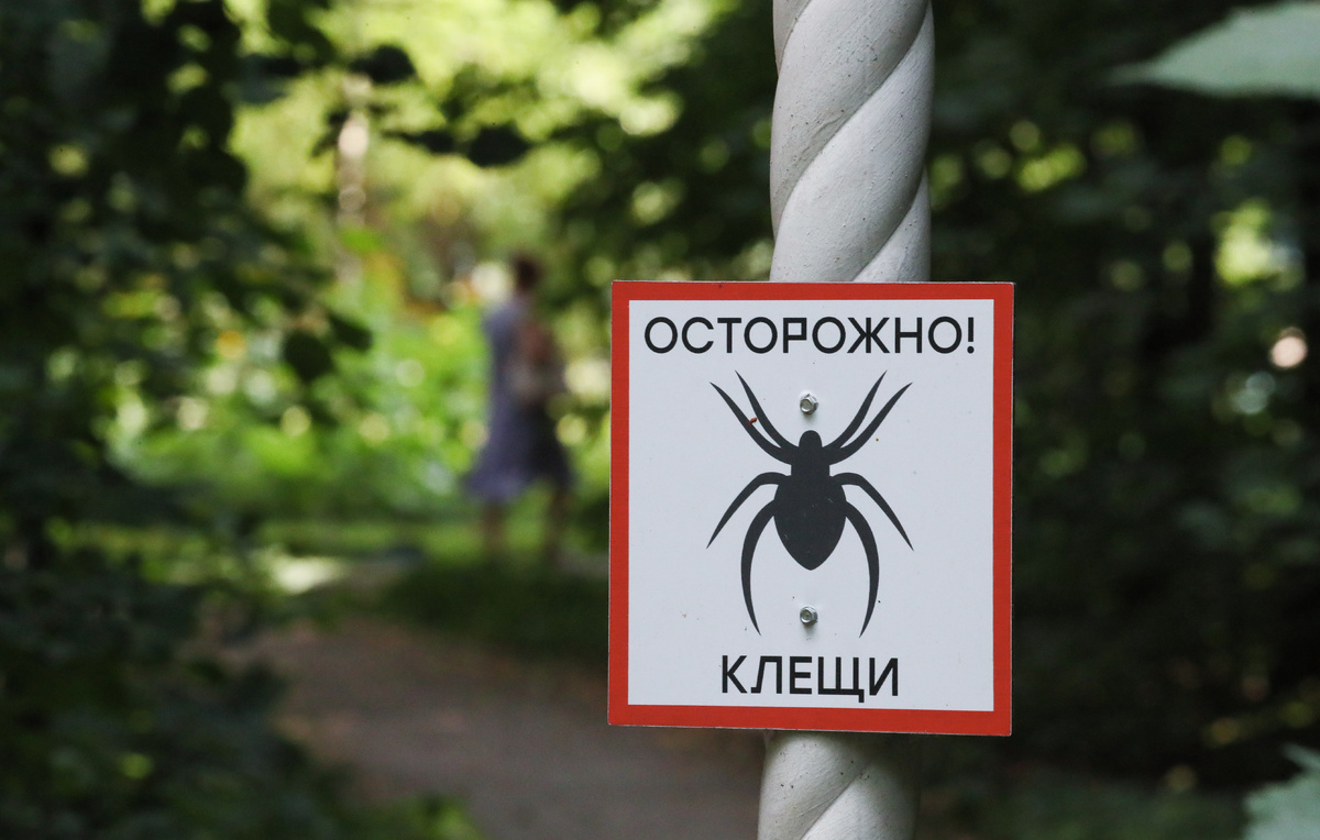 Владимир Гердо/ТАСС