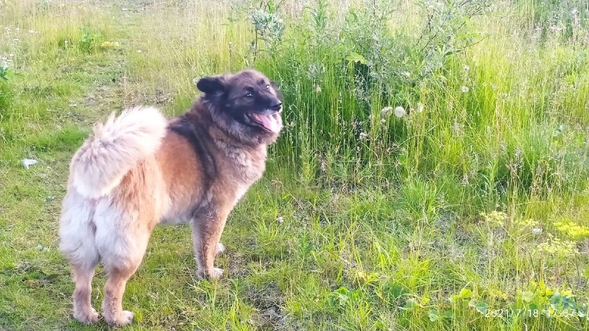 Наша шикарная девчонка.