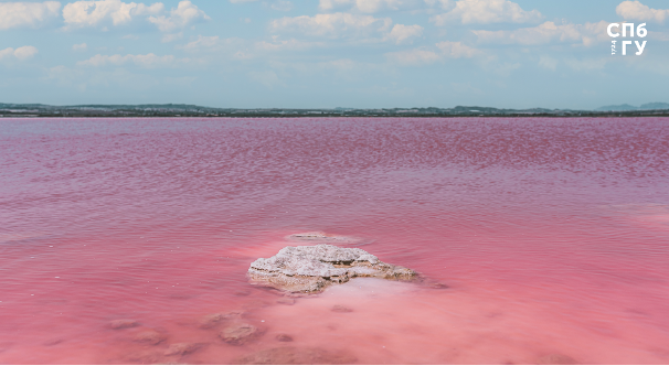 Источник: Freepik