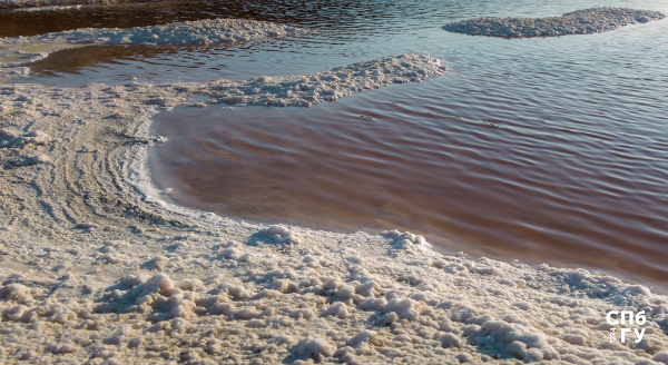 Источник: Freepik