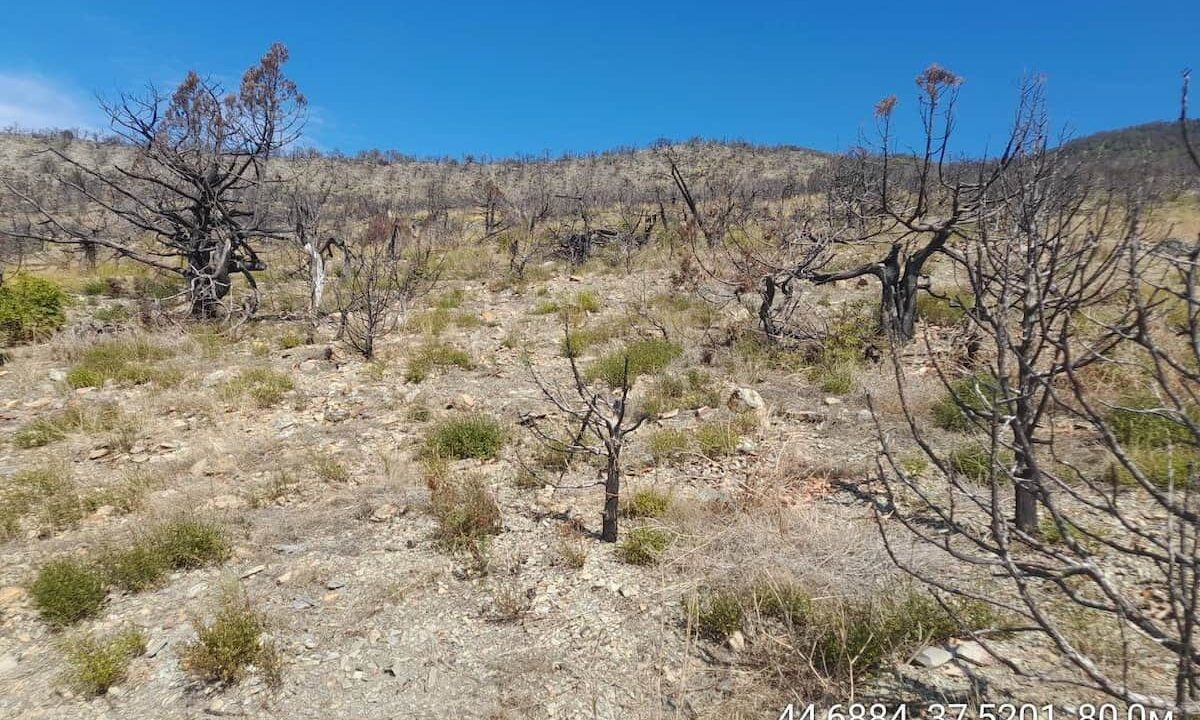    Фото t.me/mpr_kk