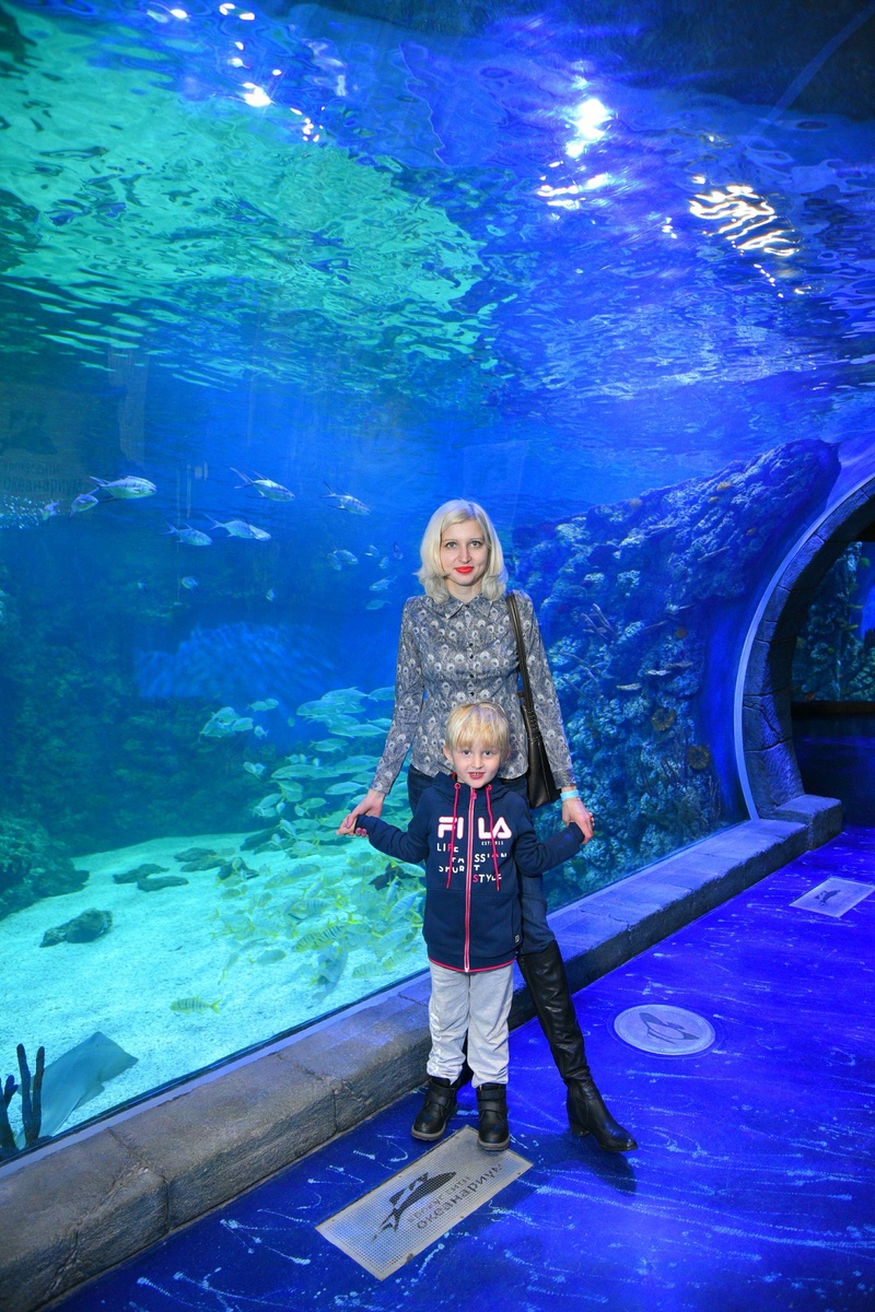 Океанариум Крокус 