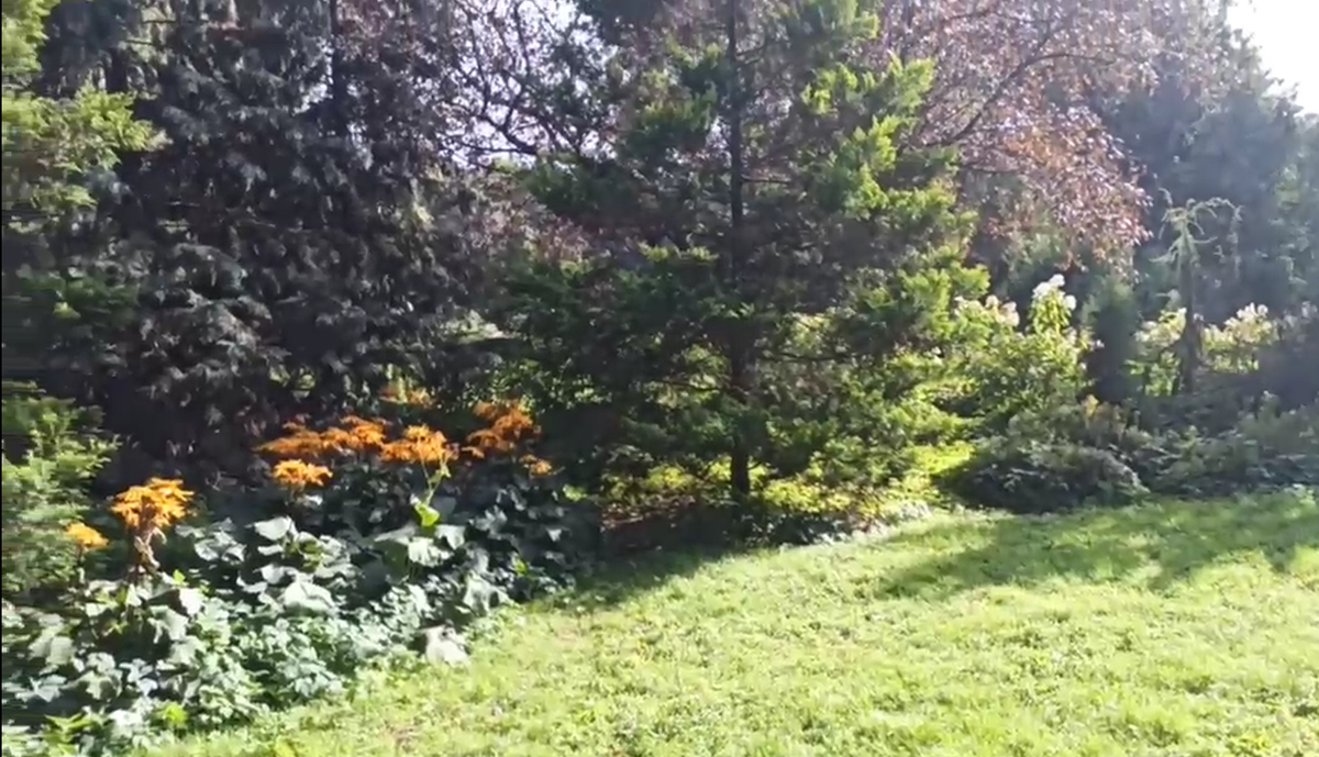 Фото сделано мной.