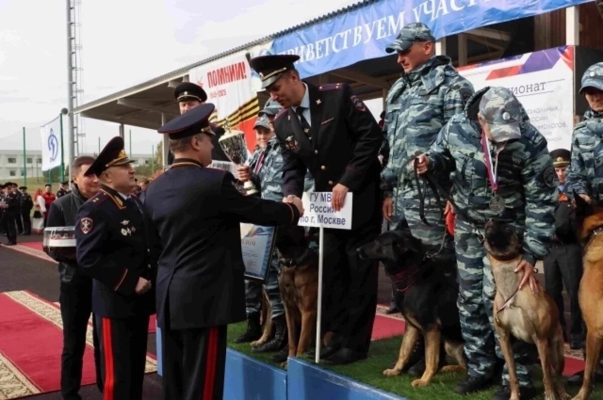    В Нижнем Новгороде завершились состязания кинологов МВД
