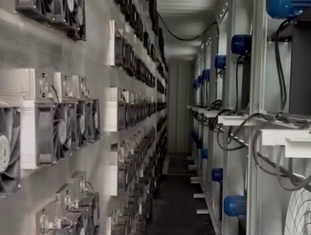 Фото: скриншот видео
