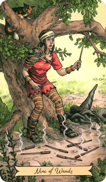 повседневное таро ведьмы, 9 жезлов