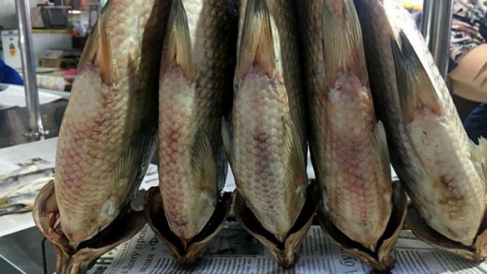 Иллюстрация: © «Панорама»