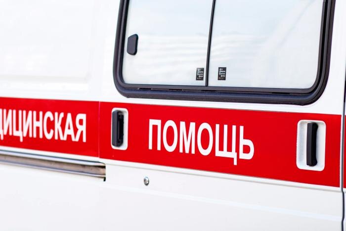 Обложка © Shutterstock / FOTODOM / Daria Lixovetckay