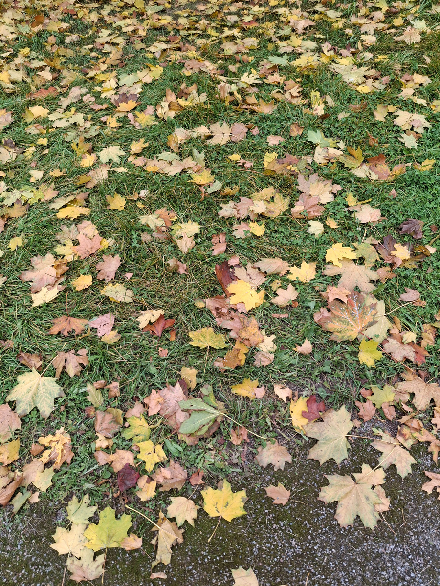 Ковер разноцветный