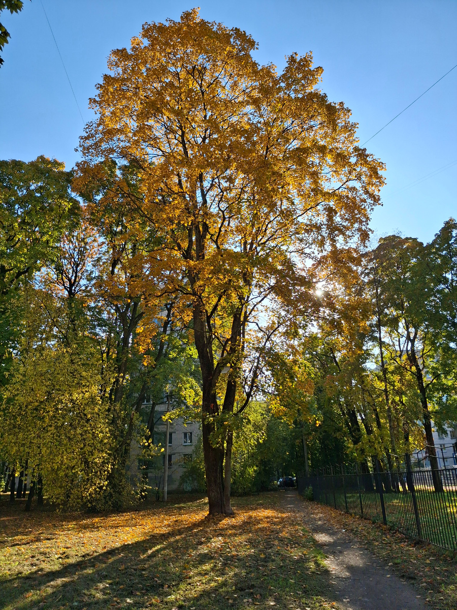 Фото автора. Солнечный вторник.