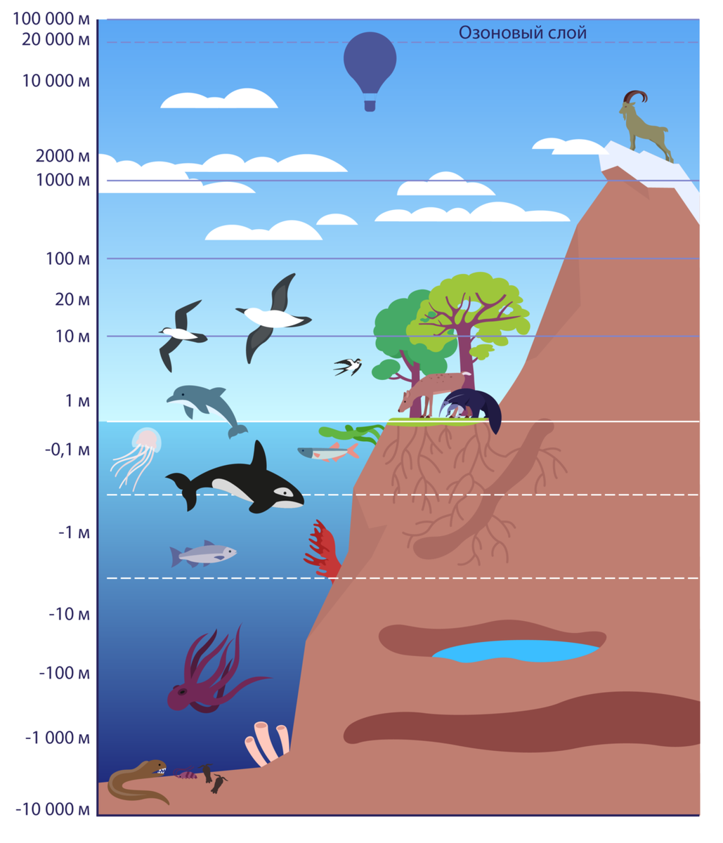 Границы биосферы
